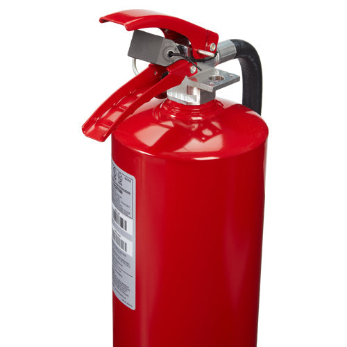 10 lb ABC (Foray) Fire Extinguisher with Wall Hanger