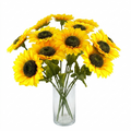 Bouquet of sunflowers in a clear vase on a white background