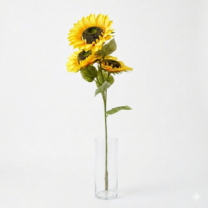 Three sunflowers in a clear vase on a white background