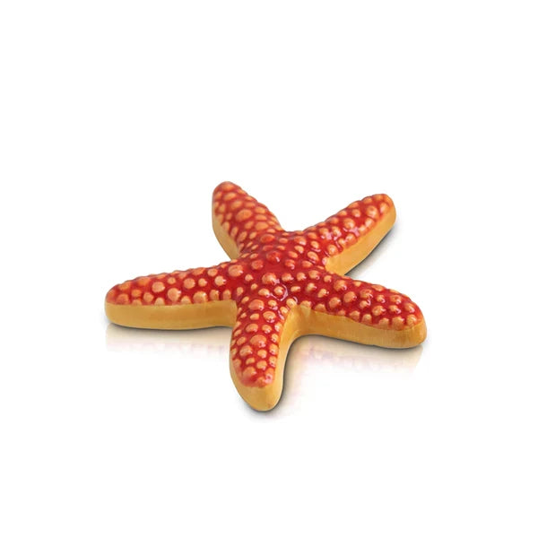 A66 Sea Star Mini