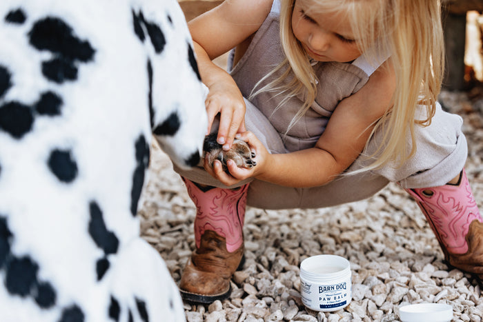 Barn Dog Herbal Magic Bundle