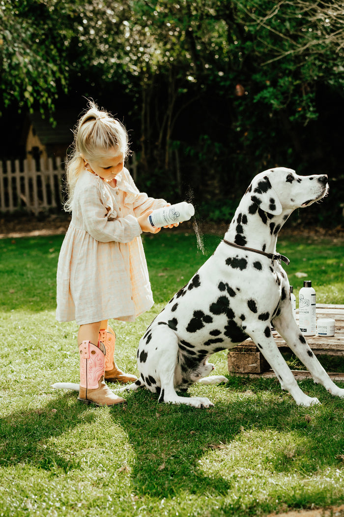 Barn Dog Herbal Magic Bundle