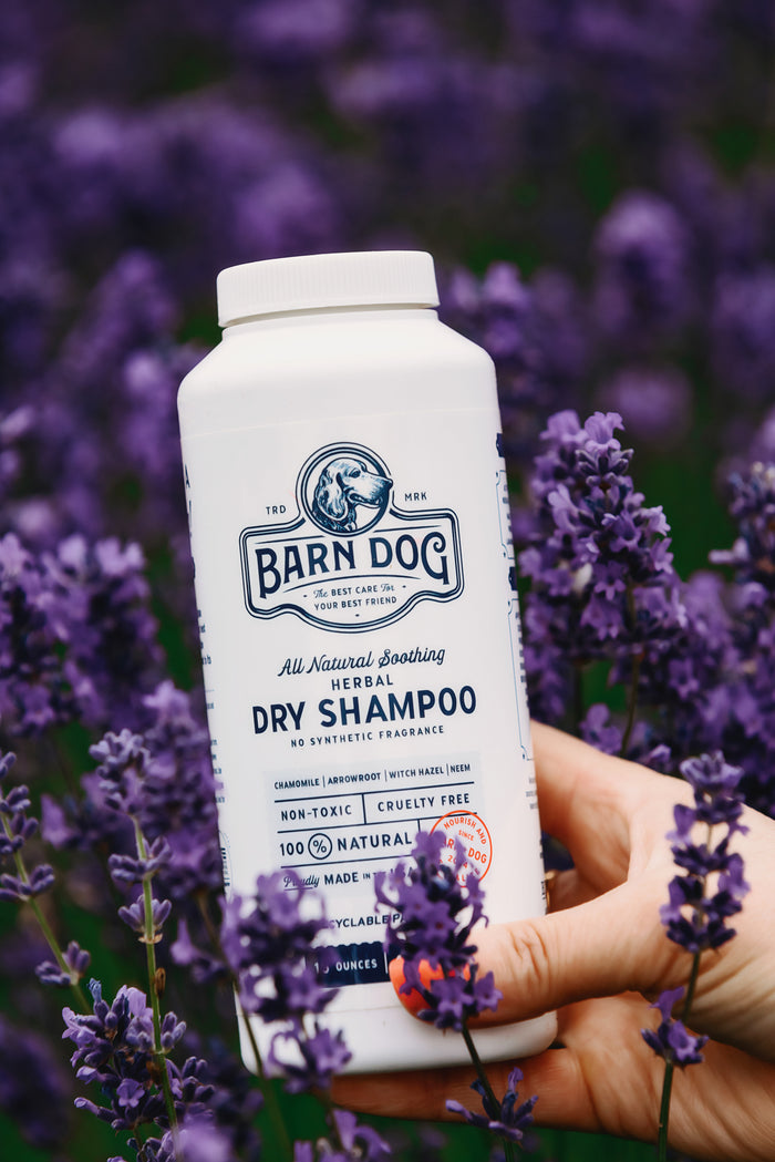Barn Dog Shampoo Bundle