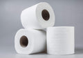 BEST BUY BBR-037 Toilet Paper 2Ply