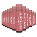 Burt's Bees Tinted Lip Balm Red - 0.15 oz - 16 Pack