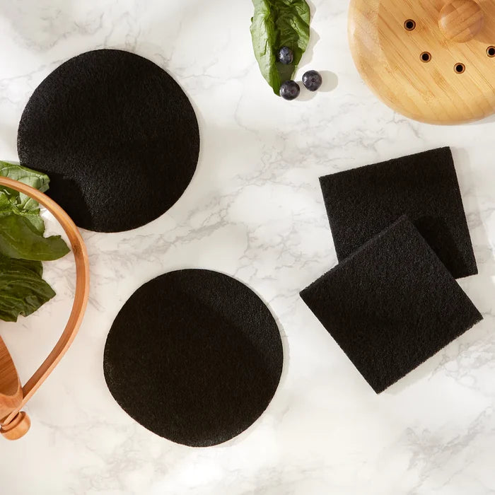 Charcoal Replacement Filter s/2