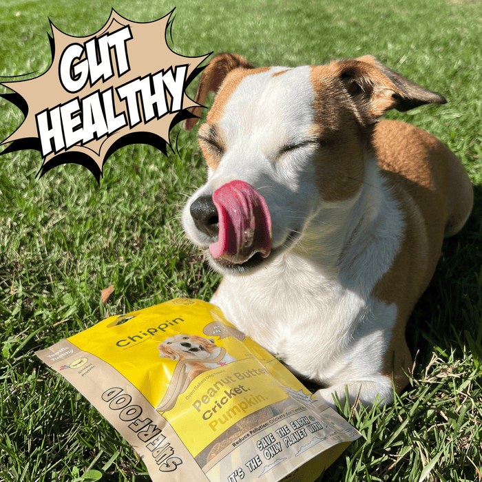 Chippin Chippin Complete Variety Bundle