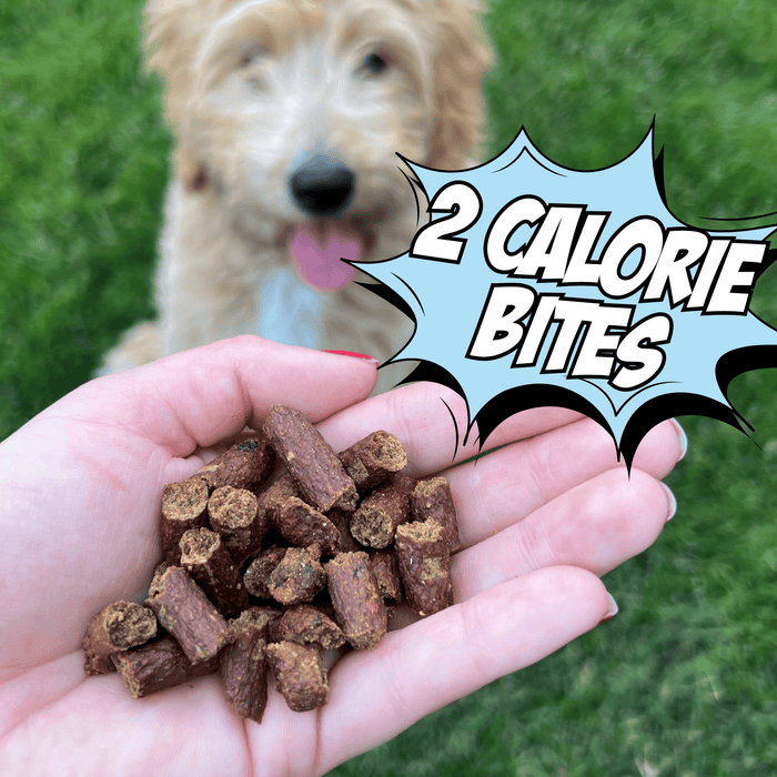 Chippin Chippin Complete Variety Bundle