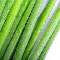 Citronella Essential Oil (Java) - Certified 100% Pure
