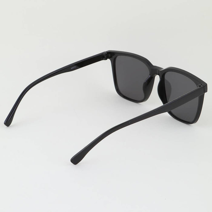 Classic Tinted Wayfarer Sunglasses