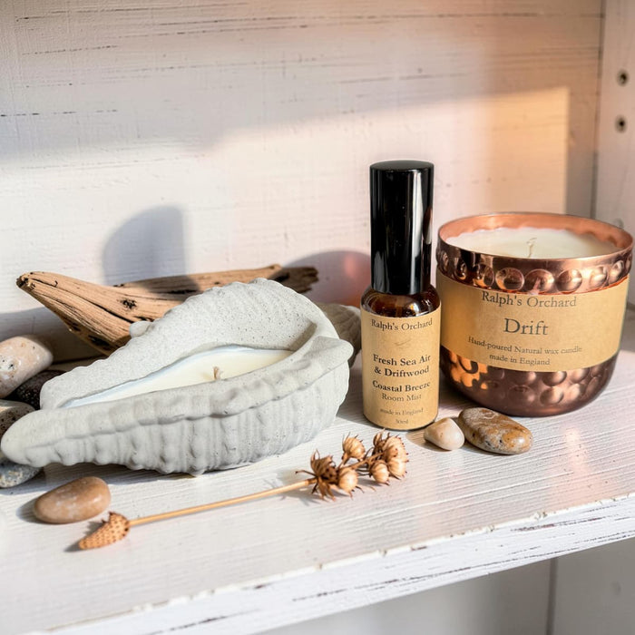 Coastal Home Escape Set | Vegan Sea Salt & Driftwood Candle Gift