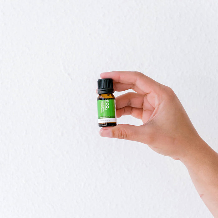 Eucalyptus Pure Essential Oil