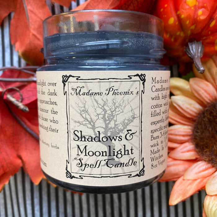 Fall Sampler Seasonal Box Set (limited edition)