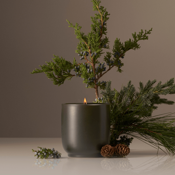 Balsam Fireplace Candle - Homecourt - Living with Ivey