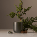 Balsam Fireplace Candle - Homecourt - Living with Ivey