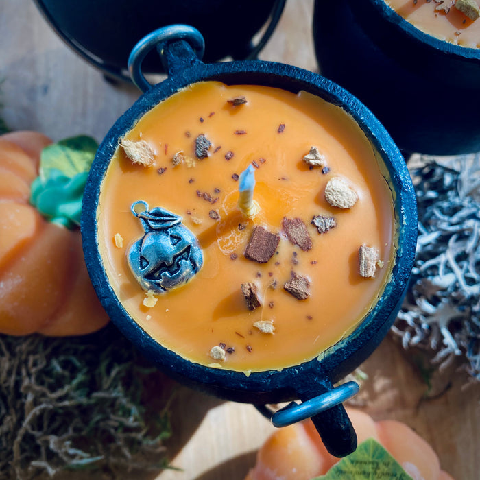 The Spice of Life  Halloween Cauldron Candle