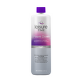 Bottle of Leisure Time Foam Down on a white background