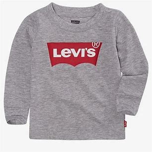 Levi's Baby Boys Long Sleeves Batwing T-shirt - Gray Heather