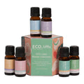 Little Blends Collection