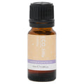 Little Lullaby Essential Oil Blend