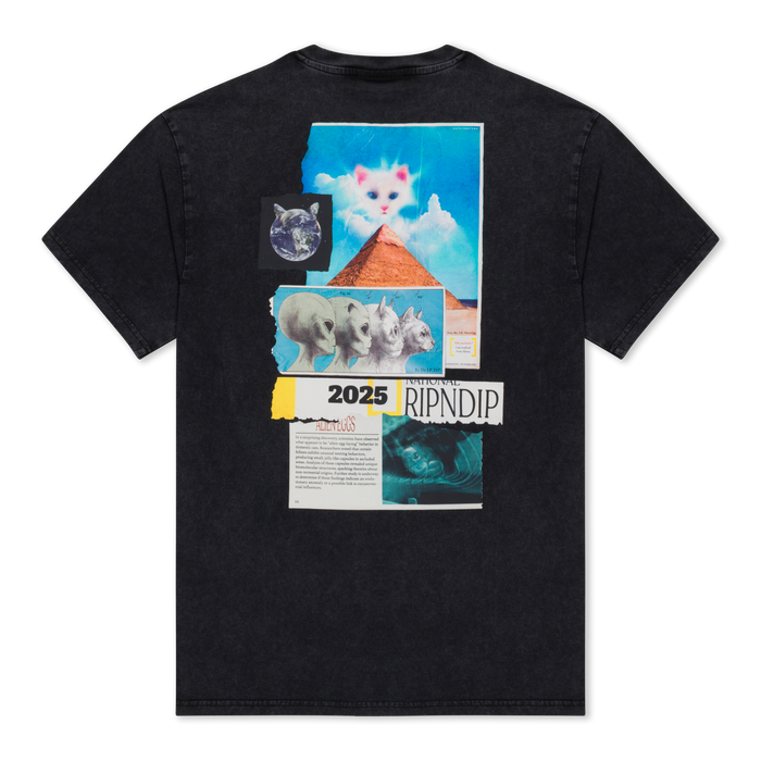RIPNDIP Nerm Geo Tee (Black Vintage Wash)