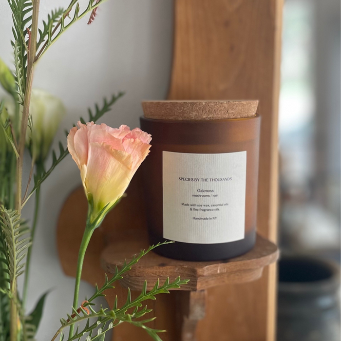 Oakmoss, Mushrooms + Rain Handcrafted Soy Candle