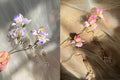 PF280 - Iris Ronghua Hairpin - Wholesale