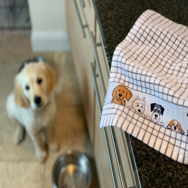 Poli Dri Tea Towel Dogs