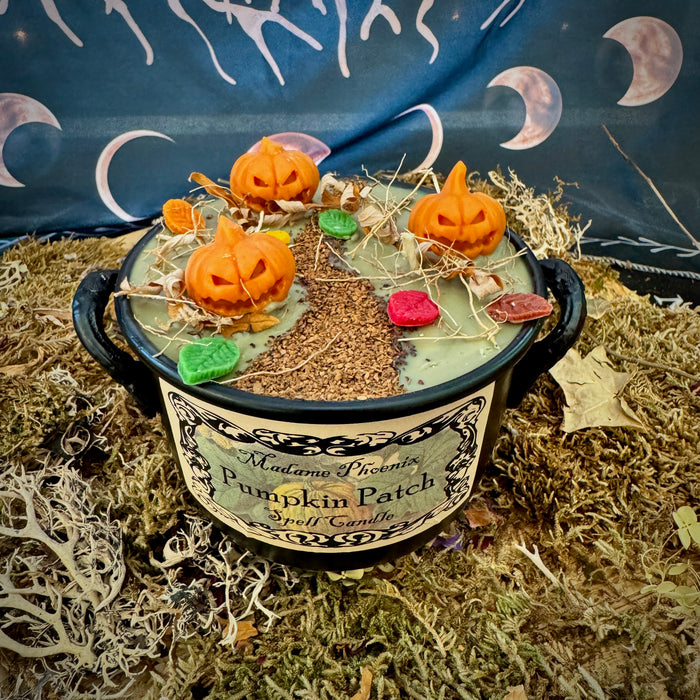 Pumpkin Patch Harvest Abundance Cauldron Candle