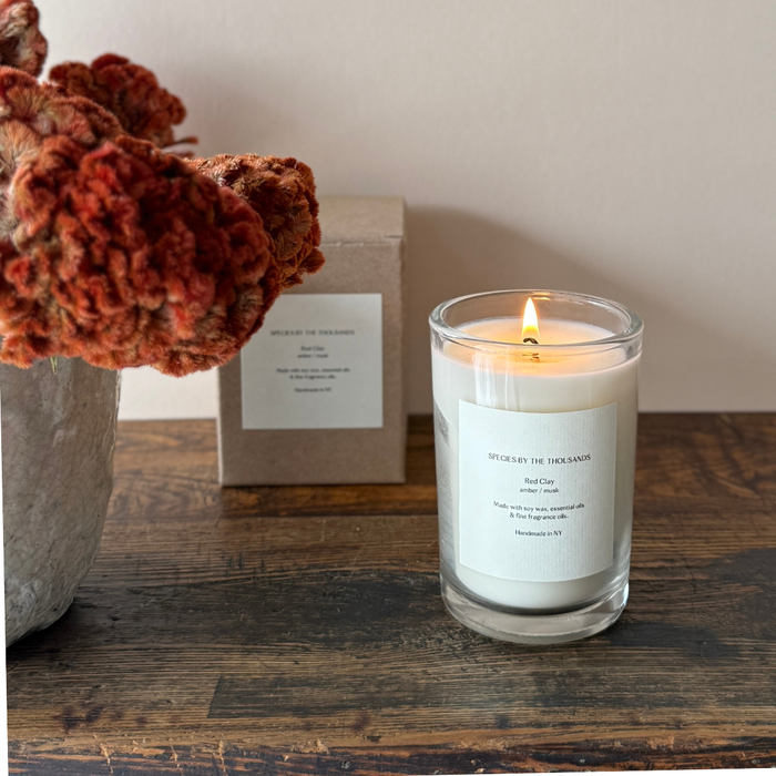 Red Clay, Amber + Musk Handcrafted Soy Candle