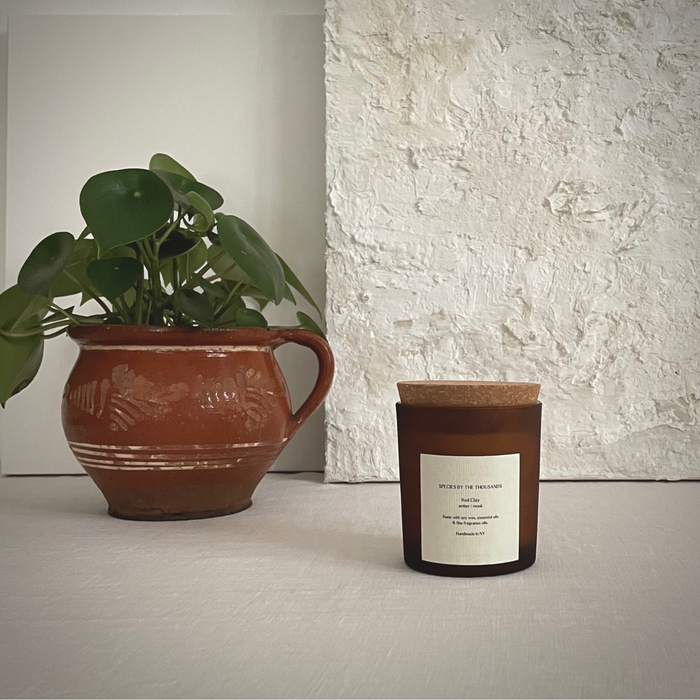 Red Clay, Amber + Musk Handcrafted Soy Candle