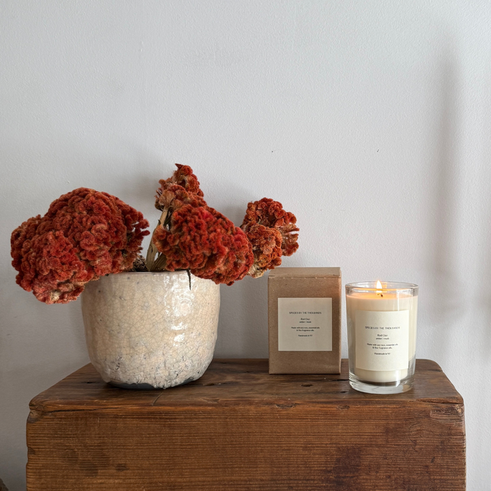 Red Clay, Amber + Musk Handcrafted Soy Candle