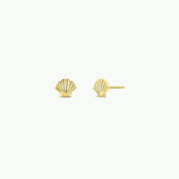 Seashell - Gold Earrings