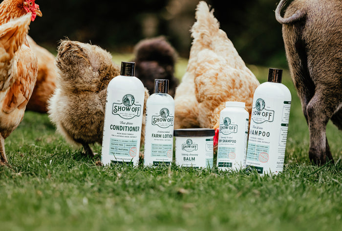 Show Off Shampoo Bundle