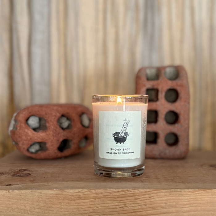 Smokey Sage Handcrafted Soy Candle