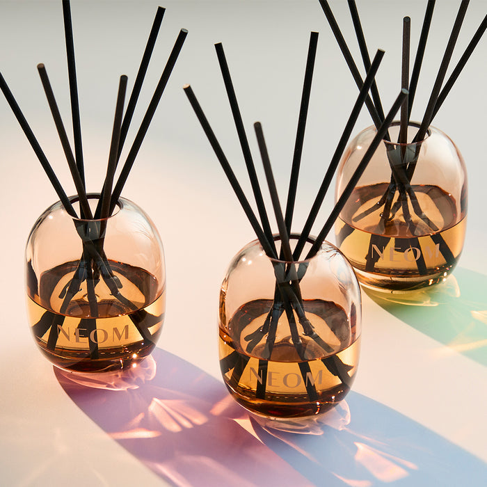 Squeeze The Day Reed Diffuser & Refill