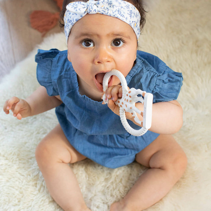 baby chewing on sophie la girafe toy