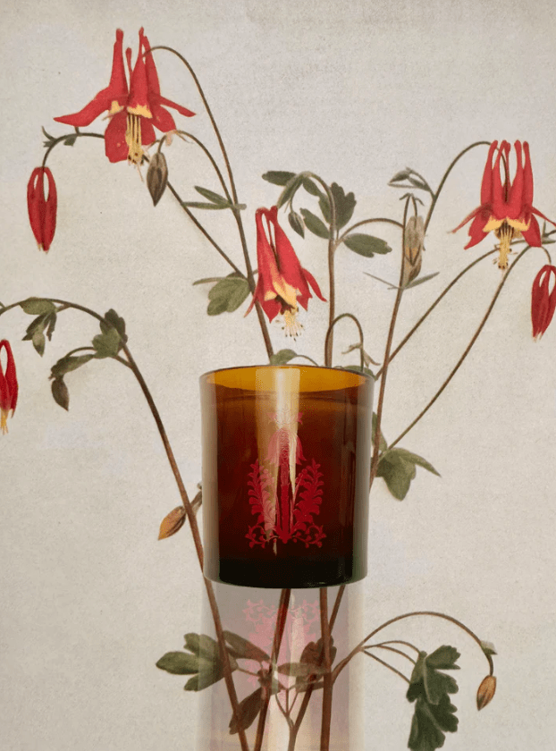 The Quiet Botanist | Garden Stories Candle - The Quiet Botanist - Living with Ivey