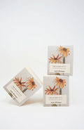 Orchard Sun Candle - The Quiet Botanist - Living with Ivey