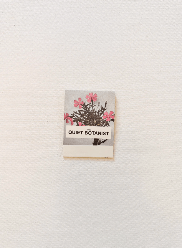Orchard Sun Candle - The Quiet Botanist - Living with Ivey