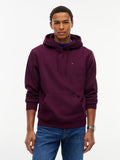Tommy Jeans Reg Flag Hoodie